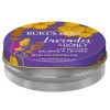 Burt's Bees Lavender & Honey Lip Butter 11.3g